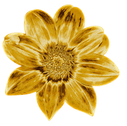 daffodil.png